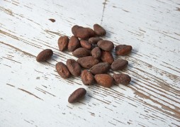 cocoa-bean-1282889_640